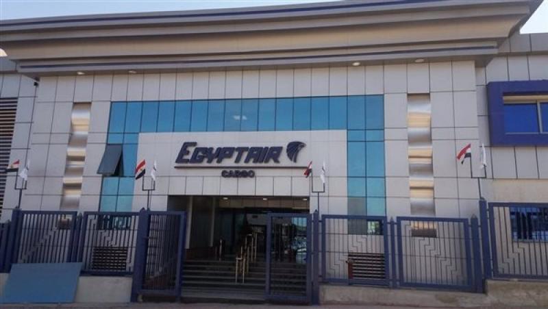 بوابة المصريين
