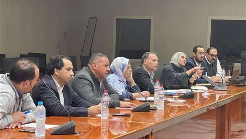بوابة المصريين