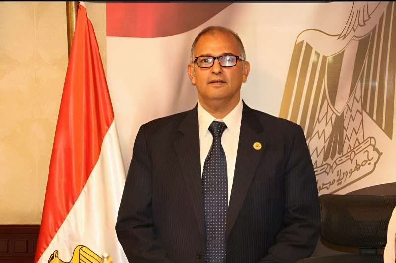 محمد عيسى النقيب، مساعد رئيس حزب ”المصريين“