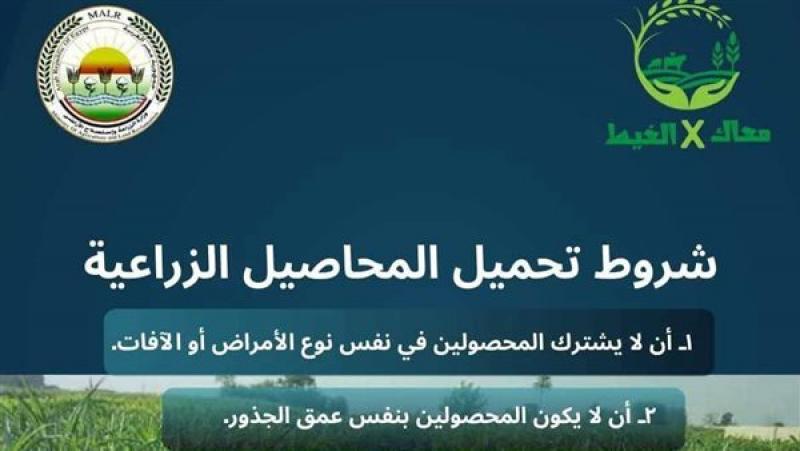 حملة "معاك في الغيط"