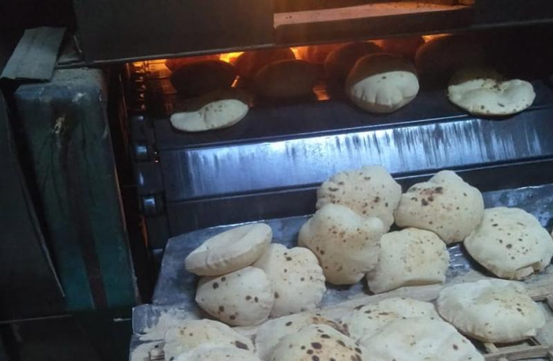 بوابة المصريين