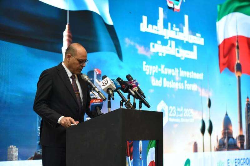 بوابة المصريين