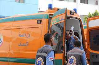 تجديد حبس سائق متهم بدهس شخص في حلوان