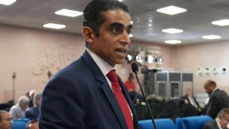 بوابة المصريين