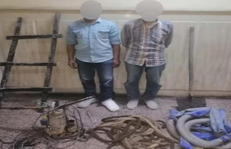 بوابة المصريين