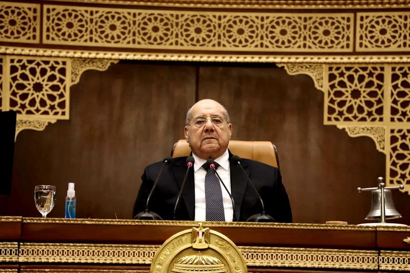 بوابة المصريين