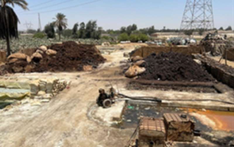 بوابة المصريين
