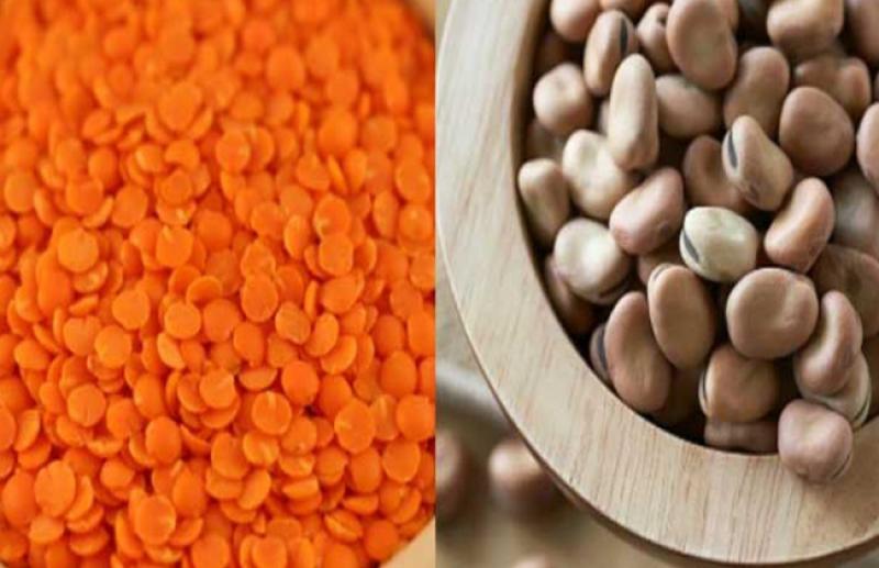 بوابة المصريين
