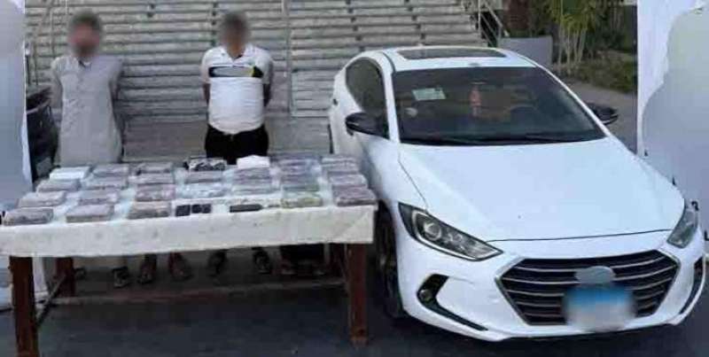 بوابة المصريين