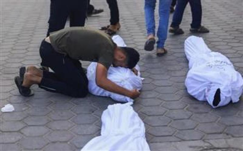 بوابة المصريين