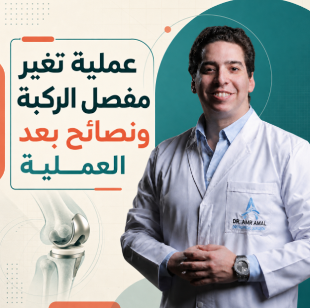 بوابة المصريين