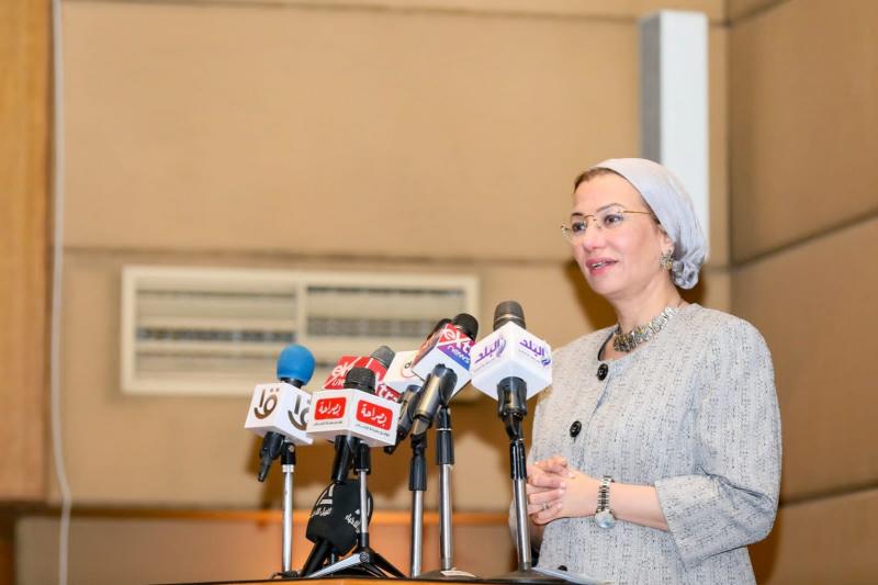 بوابة المصريين