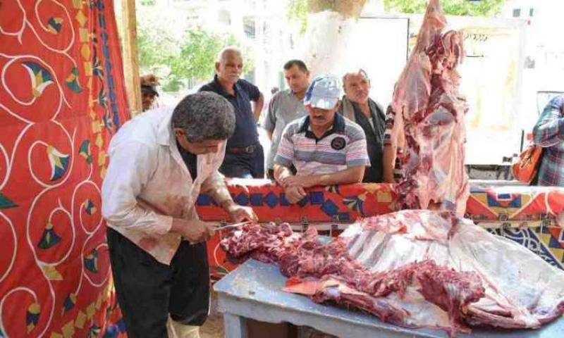 بوابة المصريين
