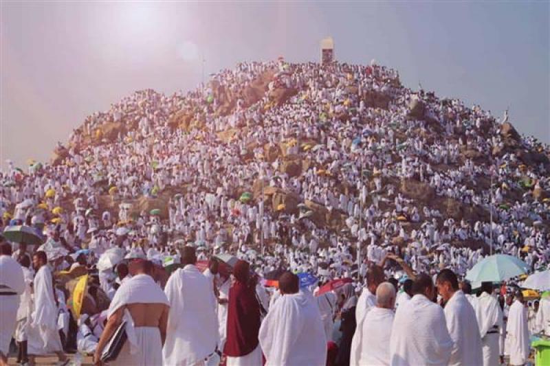 بوابة المصريين