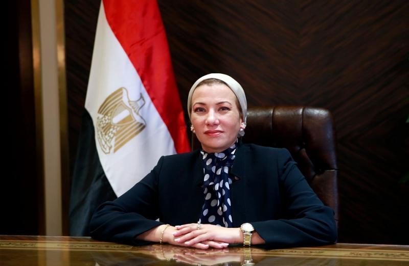بوابة المصريين