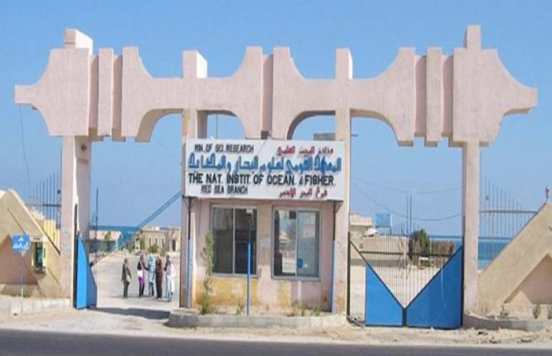 بوابة المصريين