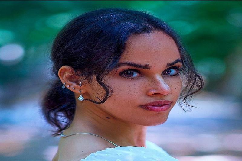 بوابة المصريين
