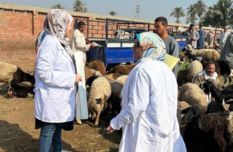 بوابة المصريين