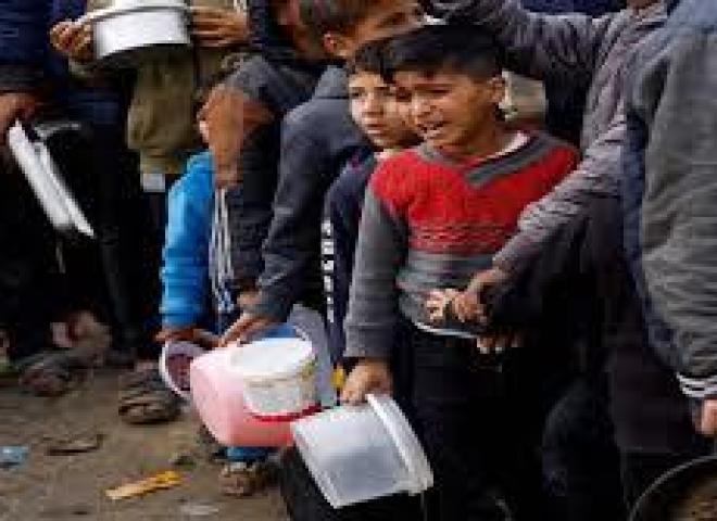 المجلس النرويجي للاجئين: المدنيون في غزة يواجهون خيارًا مستحيلًا