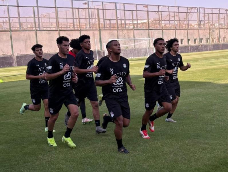 بوابة المصريين