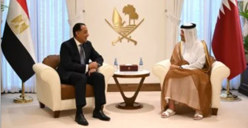 بوابة المصريين