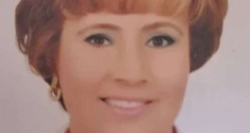 بوابة المصريين