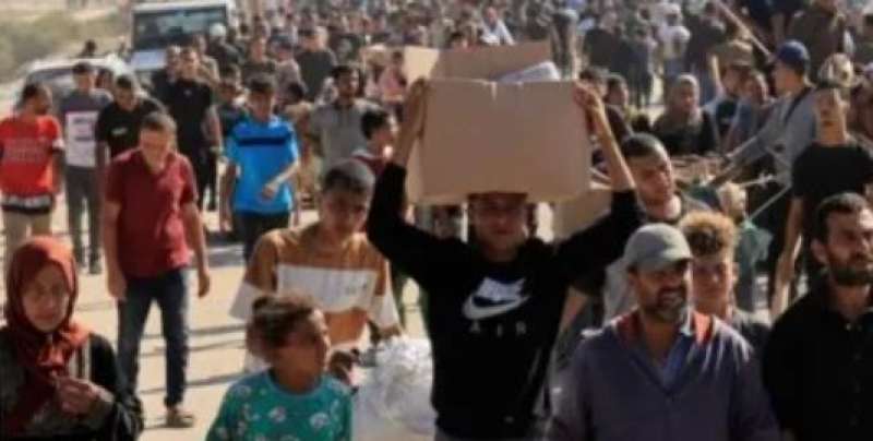 بوابة المصريين