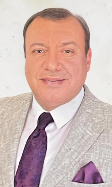 بوابة المصريين