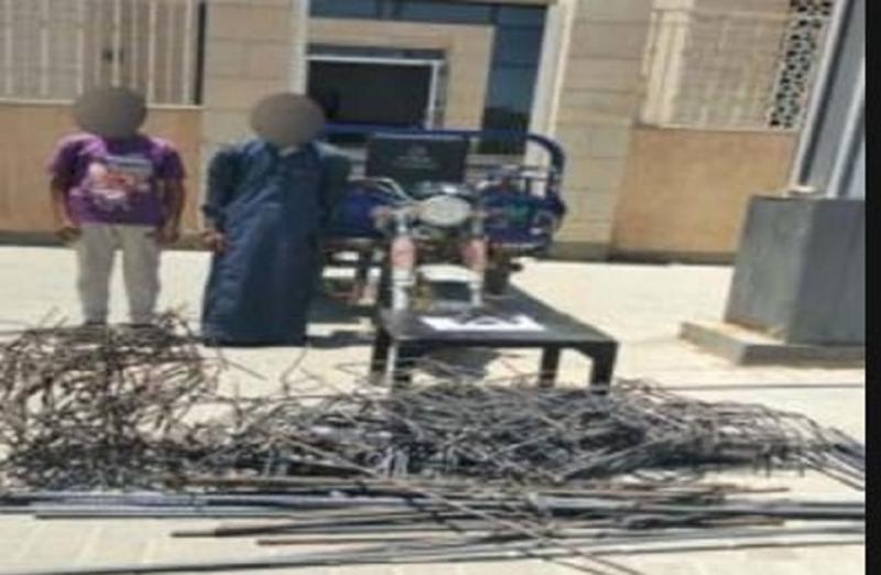 بوابة المصريين