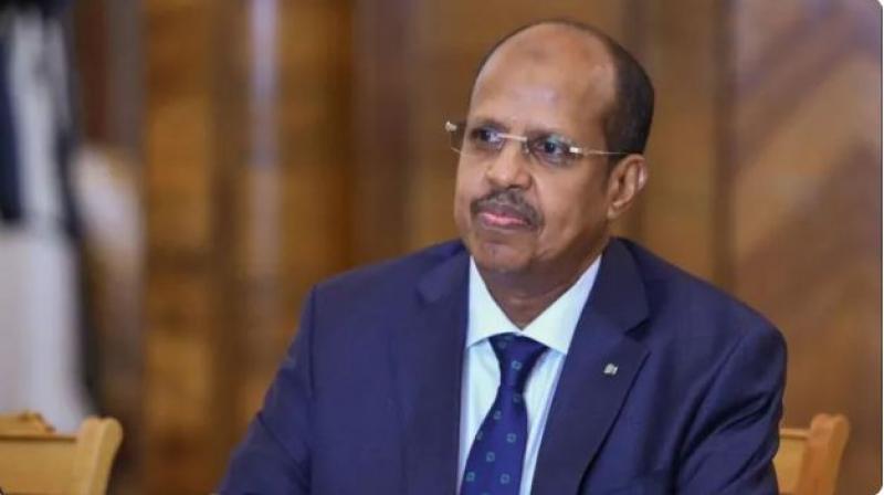 بوابة المصريين