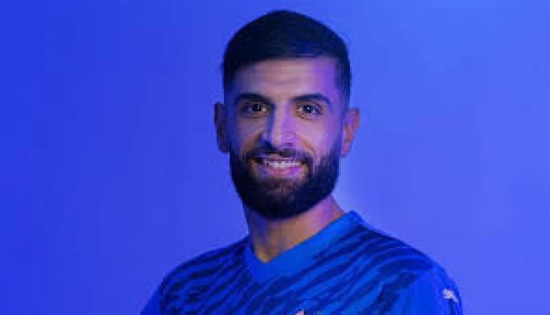 بوابة المصريين