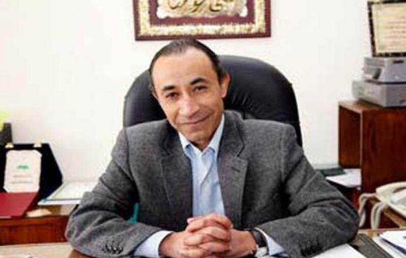 بوابة المصريين