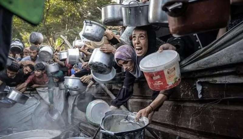 بوابة المصريين
