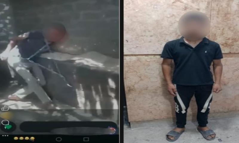 بوابة المصريين