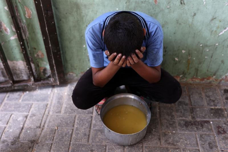 بوابة المصريين