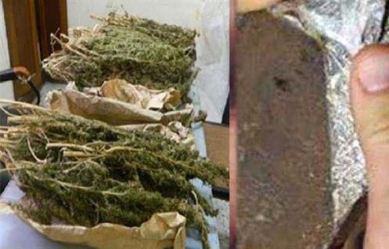 بوابة المصريين