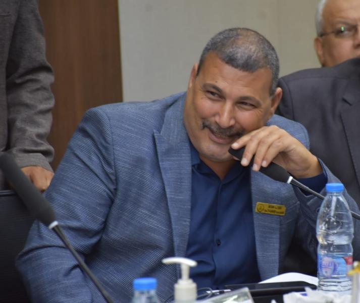 بوابة المصريين