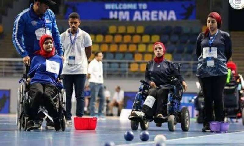 بوابة المصريين