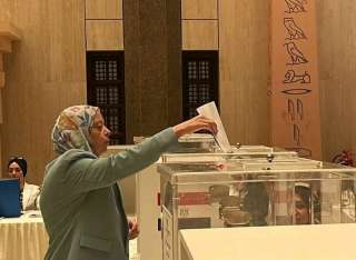 استمرار توافد الناخبين المصرين بالسعودية للمشاركة بانتخابات مجلس الشيوخ |صور