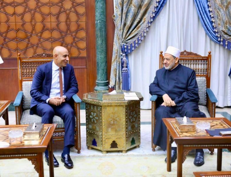 بوابة المصريين