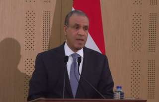 وزير الخارجية: توافق مصري تركى بشأن التعامل مع الأزمات في المنطقة