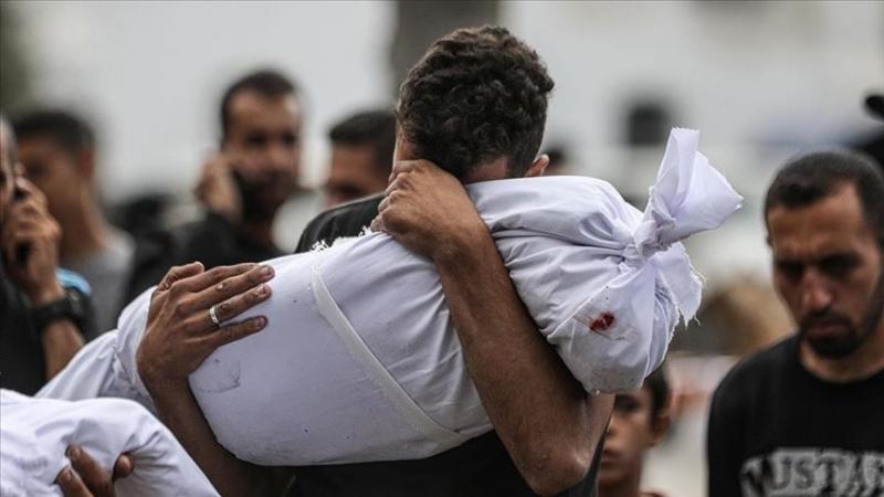 بوابة المصريين