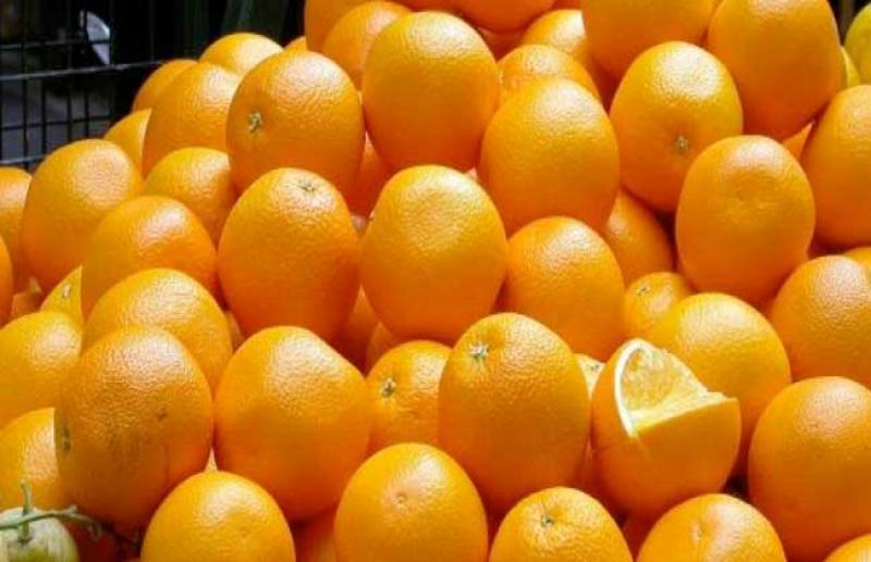 بوابة المصريين