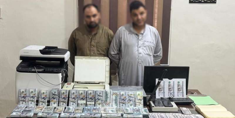 بوابة المصريين