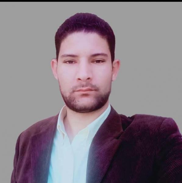بوابة المصريين