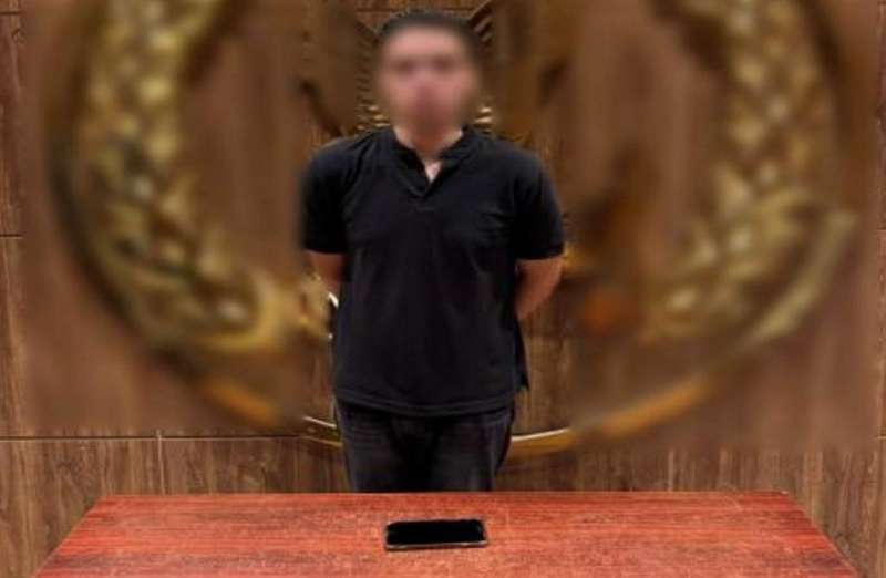 بوابة المصريين