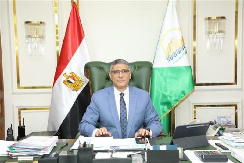 بوابة المصريين