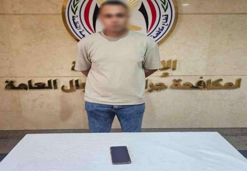 بوابة المصريين
