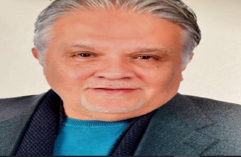 بوابة المصريين