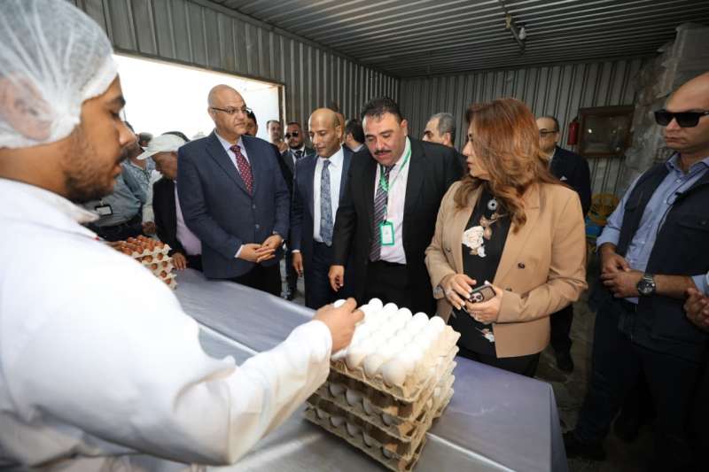 بوابة المصريين